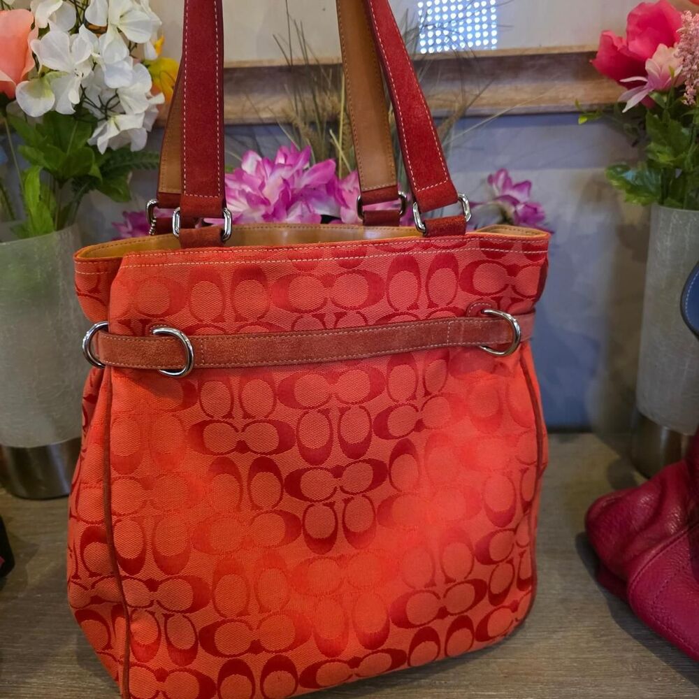 Coach Women's Orange and Red Bag